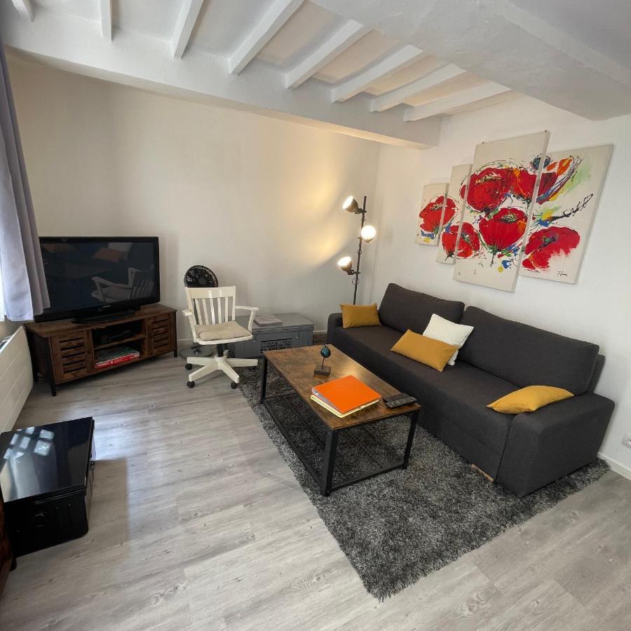 Appartement Intra-Muros Bien Situe Et Agreable A Proximite Des Theatres Авиньон Экстерьер фото